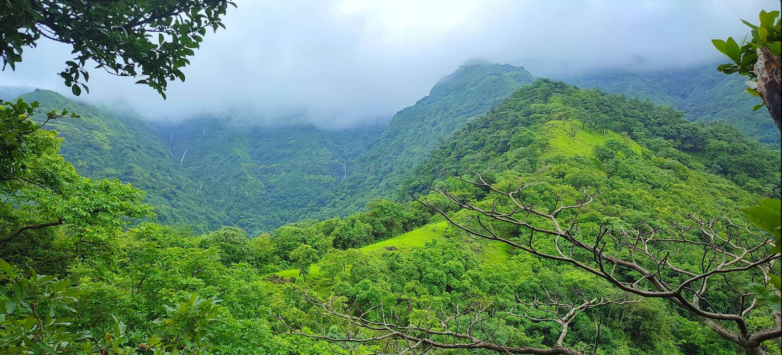 कुर्ली गाव - निसर्गरम्य दृश्य